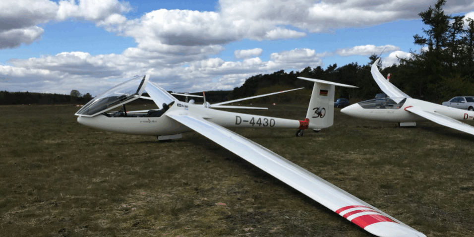 Mosquito