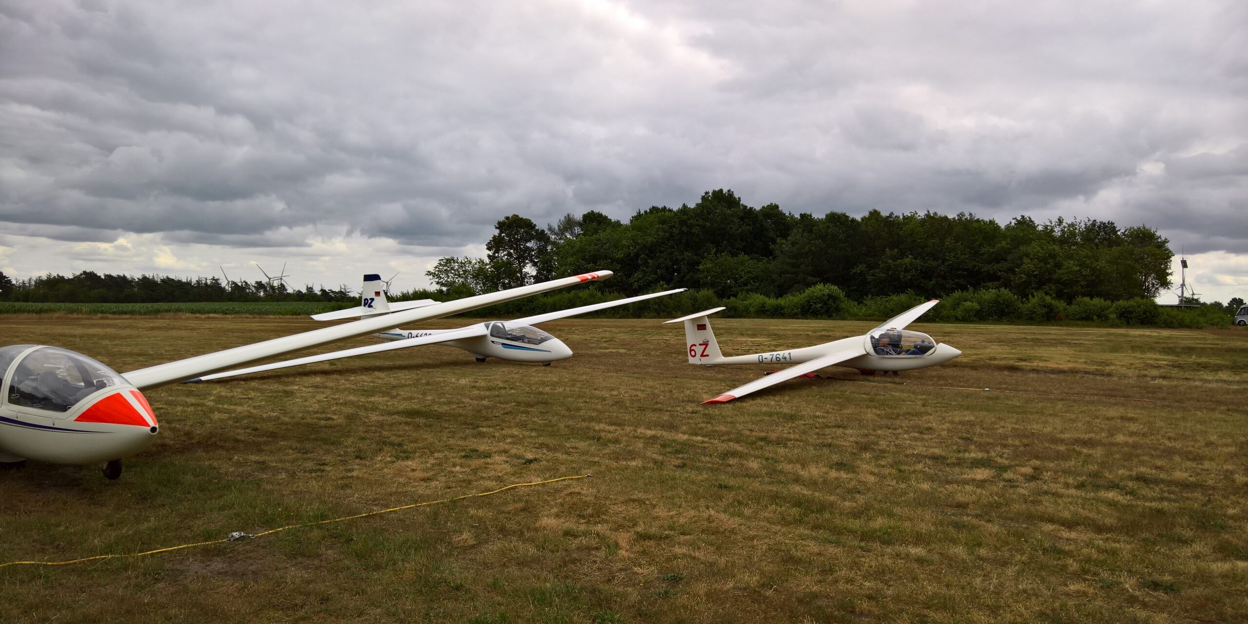 WP_20190707_14_57_21_Rich